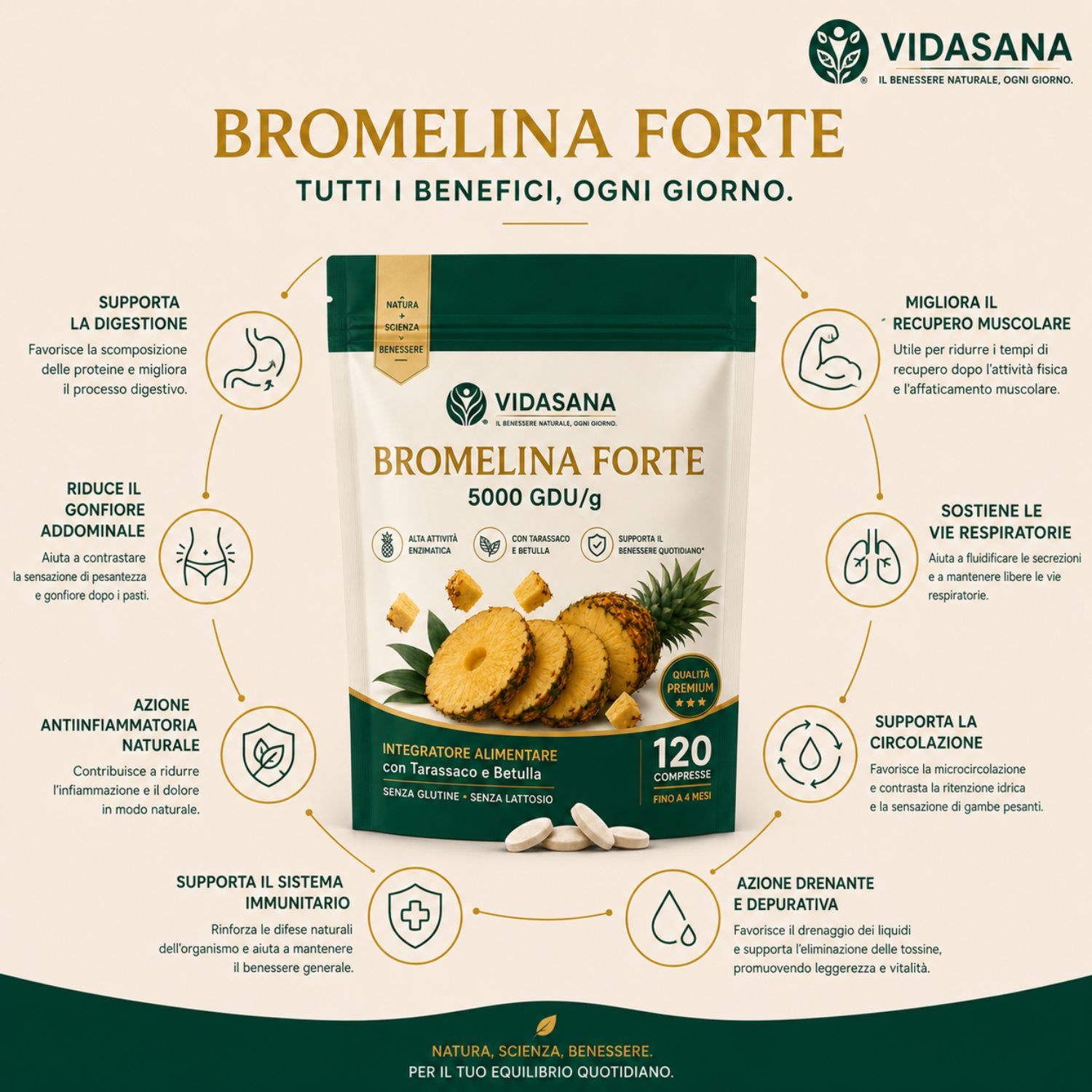 Bromelina Forte Drenante,Tarassaco alta titolazione Effetto Diuretico e tonificante - VIDASANA - Made in italy - bromelina extra forte drenante 5000 gdu/g 120 Cpr - immagine 5