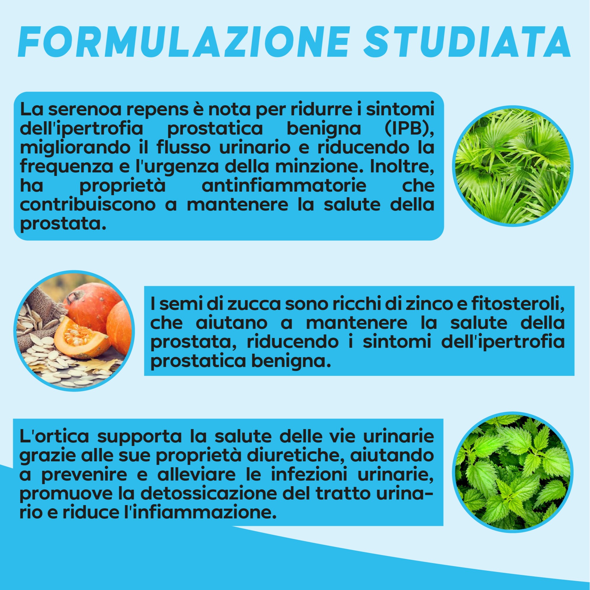 Serenoa repens prostata Integratore Prostata 640 mg - 180 Capsule - Saw palmetto -Formula Complex - integratore Uomo benessere delle vie Urinarie - immagine 3